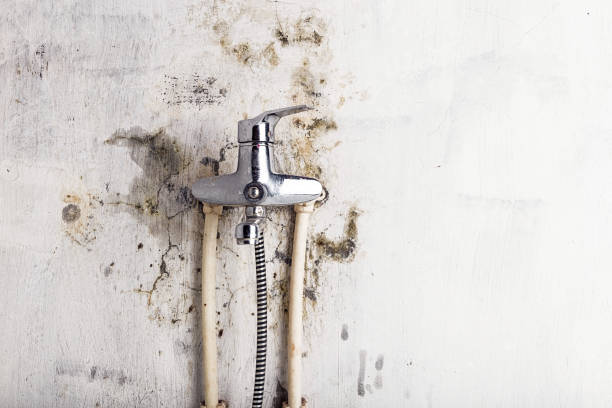 Best HVAC Mold Remediation in Lake Mathews, CA