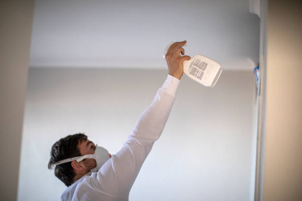 Best Black Mold Remediation in Lake Mathews, CA